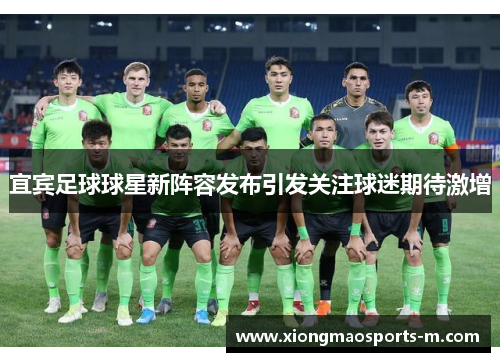宜宾足球球星新阵容发布引发关注球迷期待激增