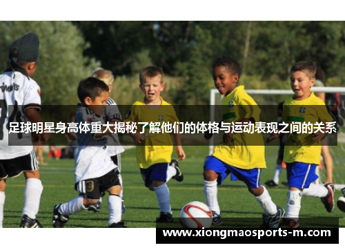 足球明星身高体重大揭秘了解他们的体格与运动表现之间的关系