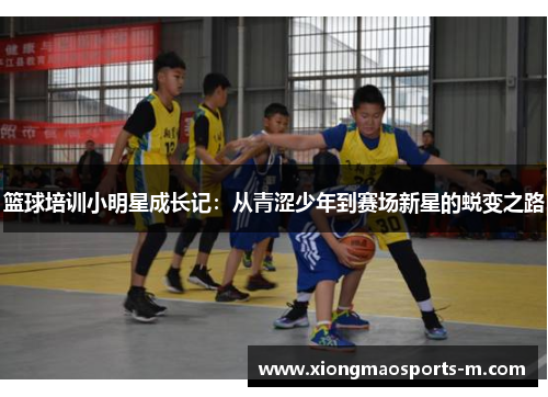 篮球培训小明星成长记：从青涩少年到赛场新星的蜕变之路